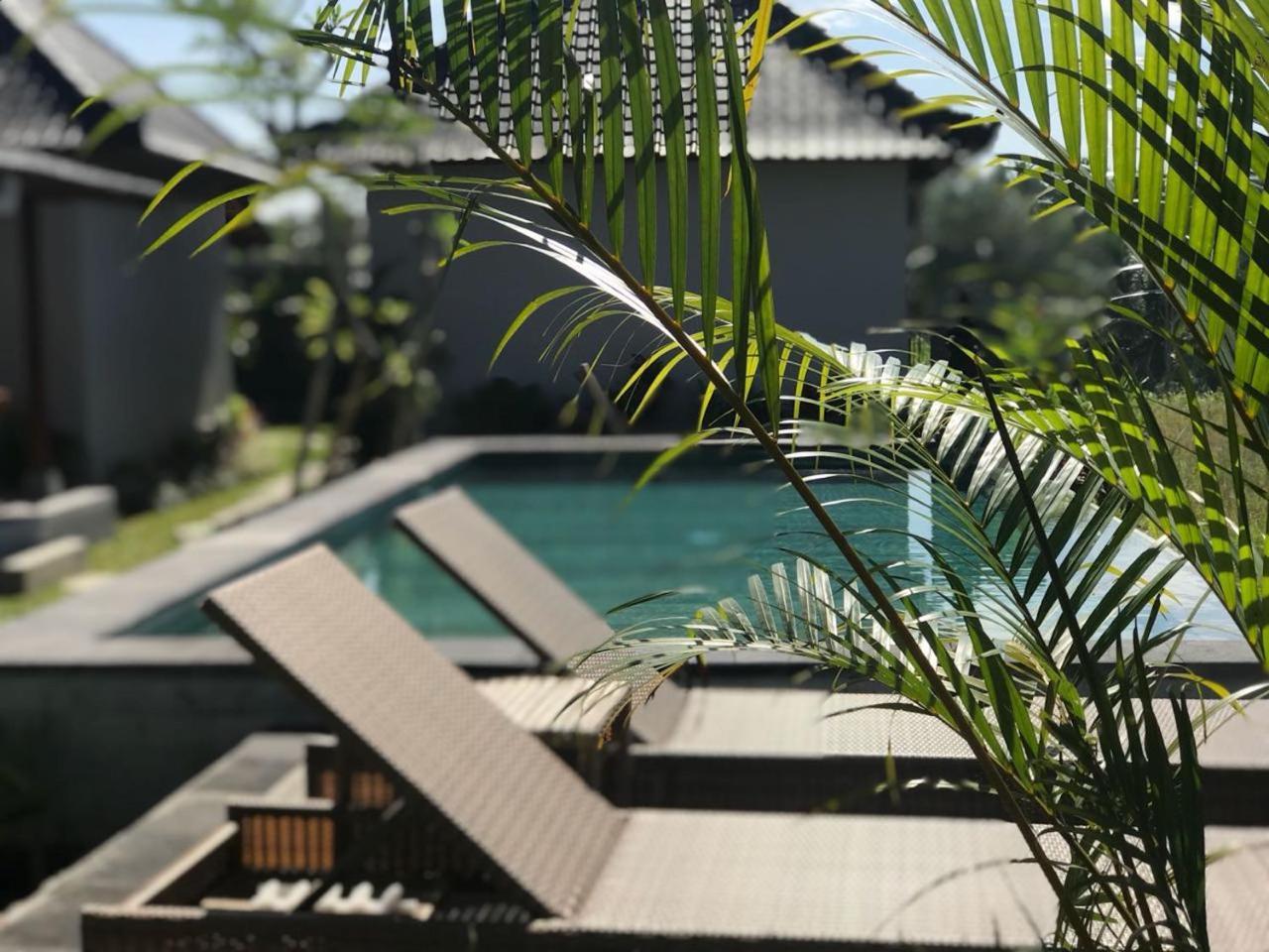 Paraiso Cottage Ubud Kültér fotó