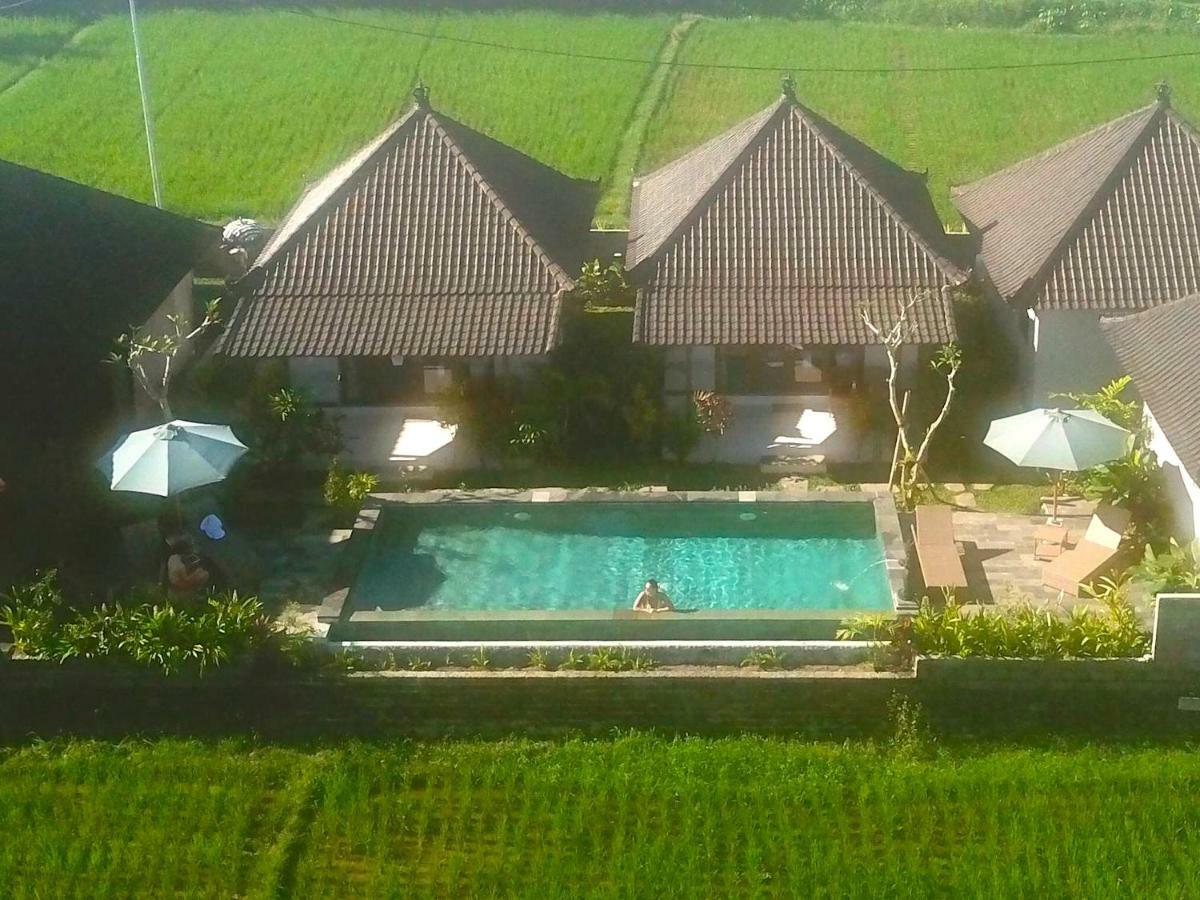 Paraiso Cottage Ubud Kültér fotó