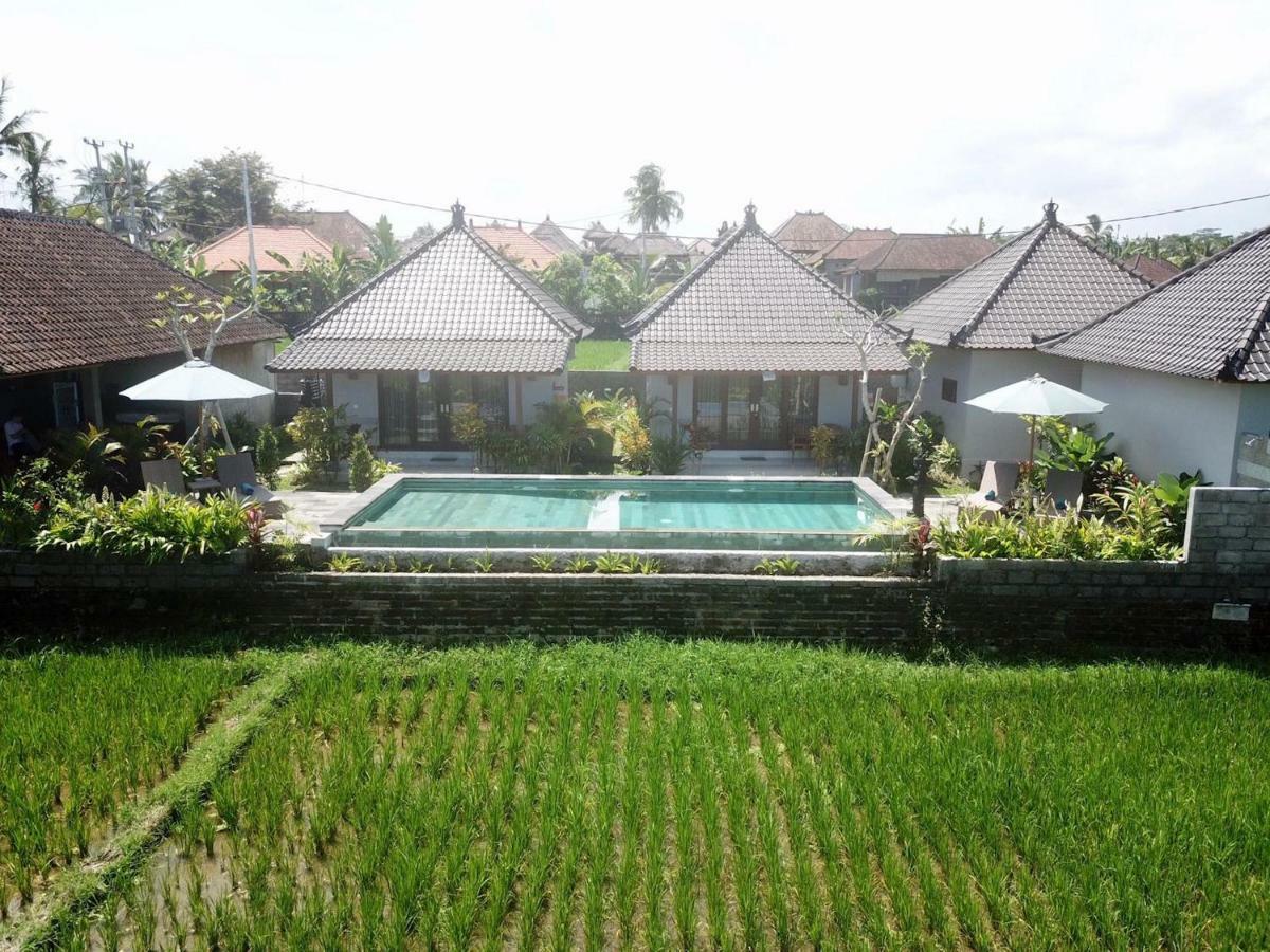Paraiso Cottage Ubud Kültér fotó